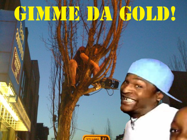 jamesintree.jpg
